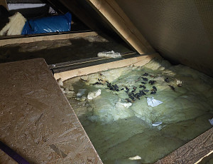 Zateplení stropu pomocí foukané izolace